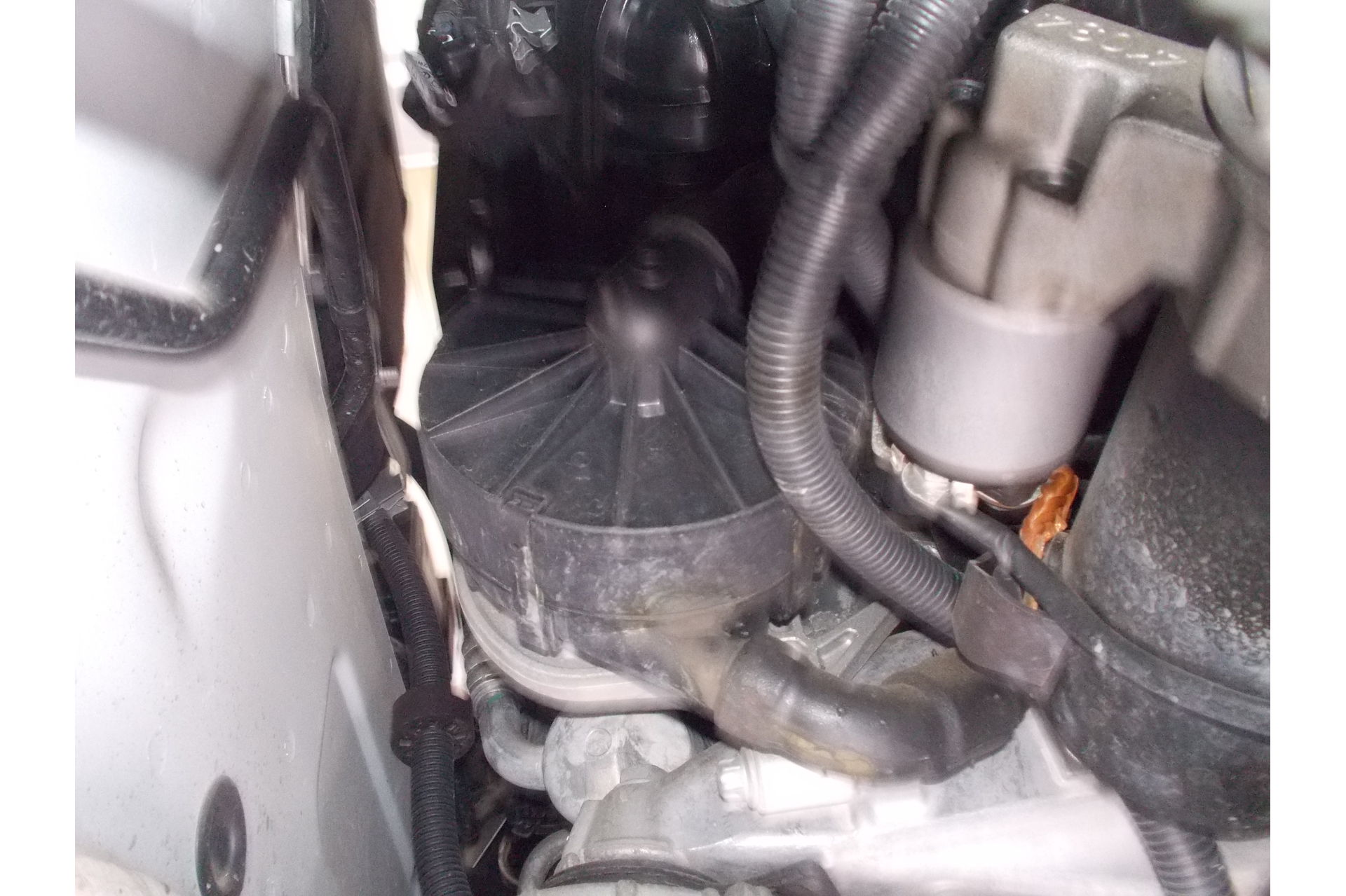 ベンツ MベンツB180 W248×コンチネンタル MC7 ｜ T'sクラブ