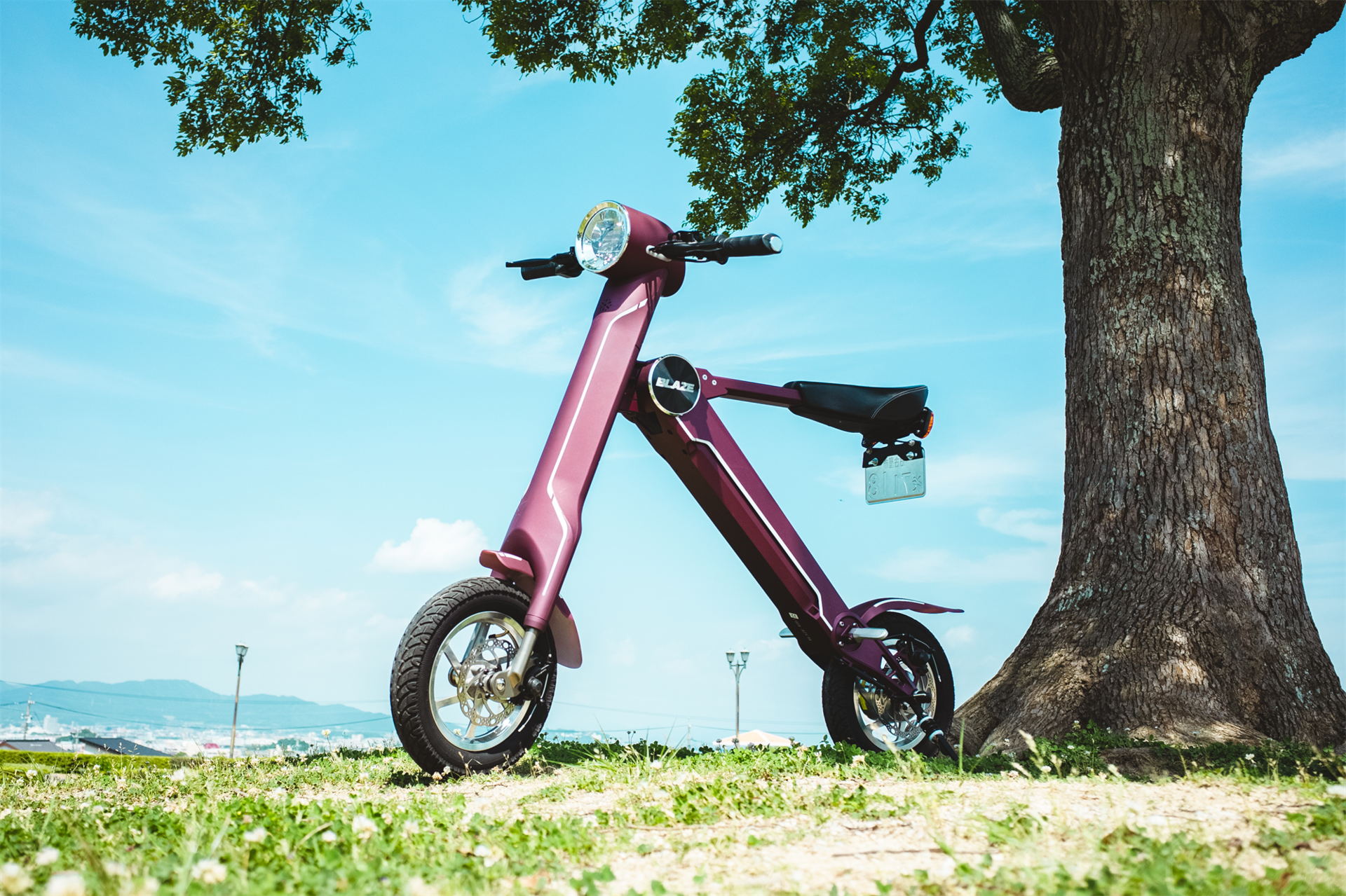 BLAZE SMART EV