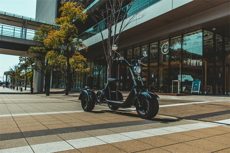 EV TRIKE